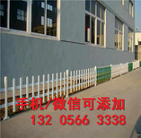 定西临洮县送立柱pvc护栏草坪护栏菜园花园围栏图片0
