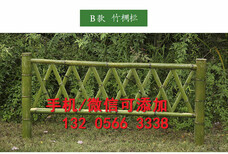 安阳内黄县栏杆绿化市政栏杆透镜围栏图片1