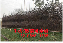 赣州定南县绿化带花园栅栏小篱笆塑料栏杆图片2