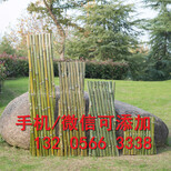 晋中寿阳县电力围栏防锈栏杆小区围墙栅栏防护栏图片4