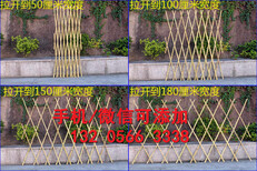 吉安峡江县道路临时围挡市政工程PVC围挡板图片4