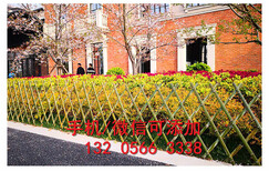 忻州保德县pvc塑钢护栏草坪花池围栏绿色小区图片1