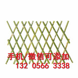 赣州定南县绿化带花园栅栏小篱笆塑料栏杆图片3