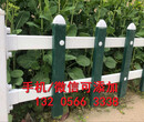 九江星子县pvc绿化护栏绿化围栏图片