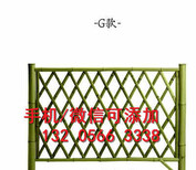 咸阳武功县绿化带花园栅栏小篱笆塑料栏杆图片5