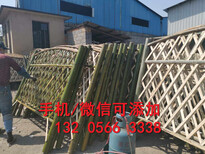 安阳内黄县栏杆绿化市政栏杆透镜围栏图片2