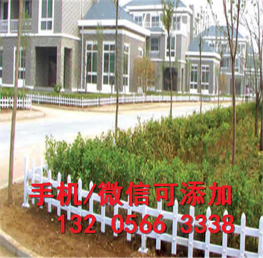 成都锦江区竹竿菜园爬藤pvc花园围栏批发市场（中闻资讯）