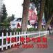 西双版纳勐腊紫竹篱笆绿化护栏价格欢迎（中闻资讯）