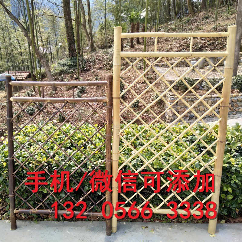 福建福州紫竹子花园庭院室内篱笆竹篱笆竹子护栏