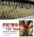 广东汕头户外花园围栏绿化草坪护栏价格欢迎（中闻资讯）