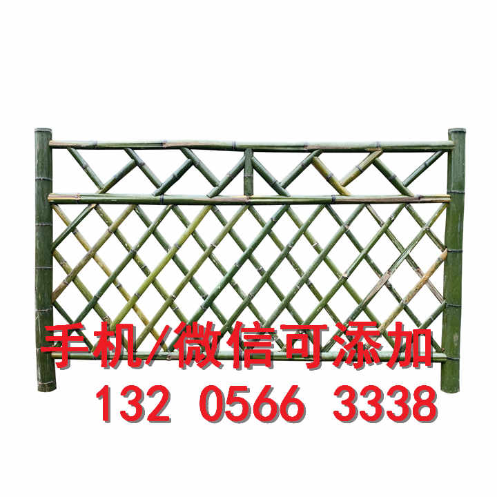 广西贺州竹篱笆栅栏围栏庭院绿化围栏竹篱笆竹子护栏