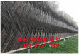 池州青阳竹篱笆定制园林护栏欢迎来电（中闻资讯）