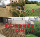 山东垦利菜园围墙护栏pvc花园围栏现货供应（中闻资讯）