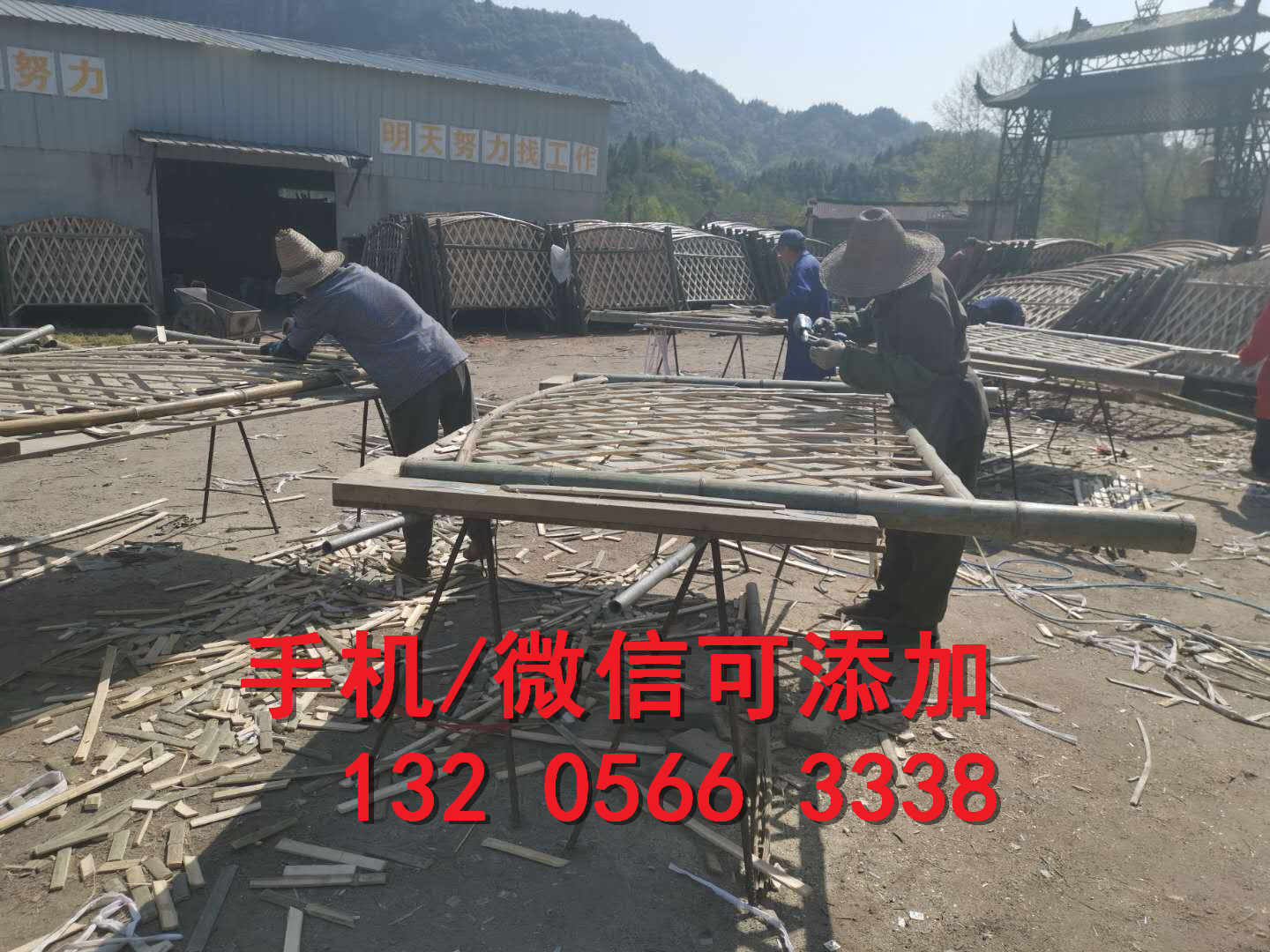 福建宁化竹绿篱水泥栏杆竹篱笆竹子护栏