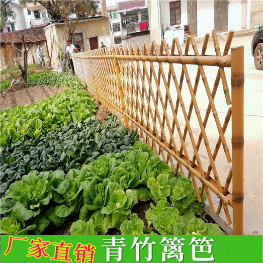 四川自贡竹片竹子庭院公园装饰竹篱笆竹子护栏