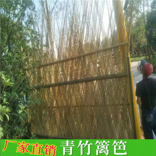 广西河池竹竿菜园爬藤电力柜护栏竹篱笆竹子护栏