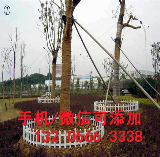 广东珠海防腐木木质围栏pvc塑钢围栏竹篱笆竹子护栏