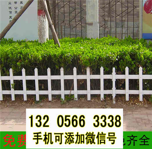 河北沧州花园围栏大小篱笆竹篱笆竹子护栏