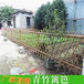 河南济源塑钢pvc护栏围栏花园围栏竹篱笆竹子护栏