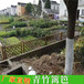 黑龙江哈尔滨室外篱笆pvc花坛栏杆竹篱笆竹子护栏