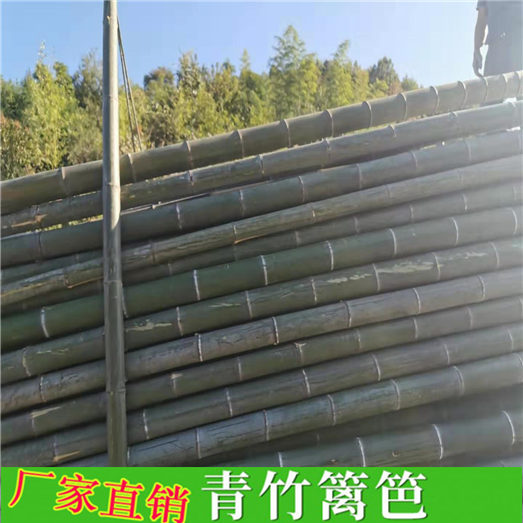 山东威海竹栅栏篱笆小区PVC塑钢护栏竹篱笆竹子护栏