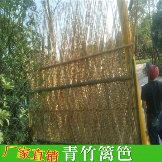 贵州遵义篱笆园林栅栏竹篱笆竹子护栏