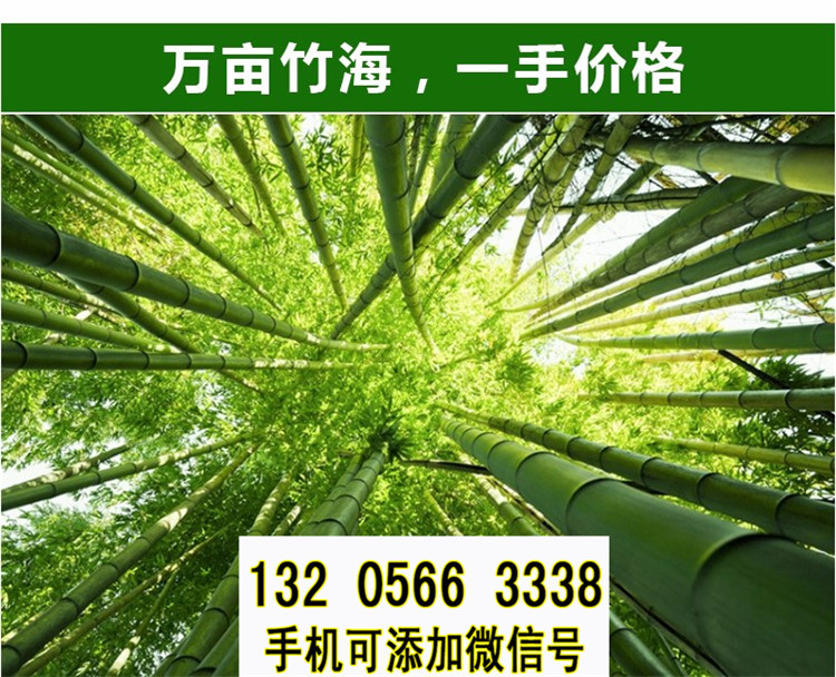 湖南株洲户外爬藤架花园木桩圆木竹篱笆竹子护栏