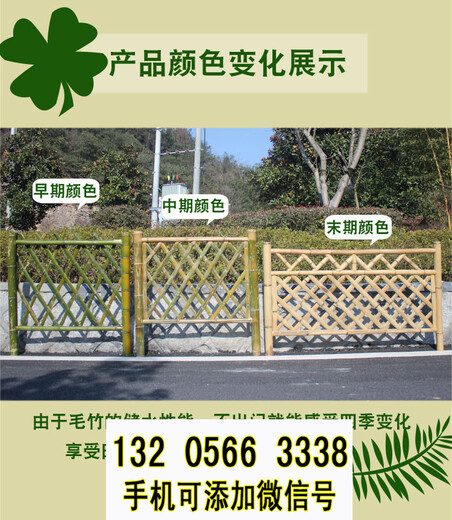 广西贺州小院栅栏竹拉网竹篱笆竹子护栏