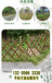 四川内江竹栅栏篱笆公园装饰实木围栏竹篱笆竹子护栏