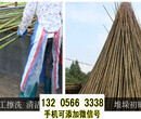 浙江衢州园艺竹栅栏庭院装修工程竹篱笆竹子护栏图片