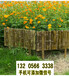 吉林四平户外花园围栏实木花园装饰竹篱笆竹子护栏