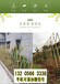 四川泸州竹栅栏篱笆阳台小庭院装饰竹篱笆竹子护栏