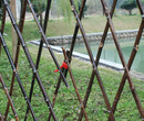北京延庆围墙护栏户外栏杆竹篱笆竹子护栏图片