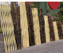 广西百色竹篱笆实木栅栏碳化竹篱笆竹子护栏图片