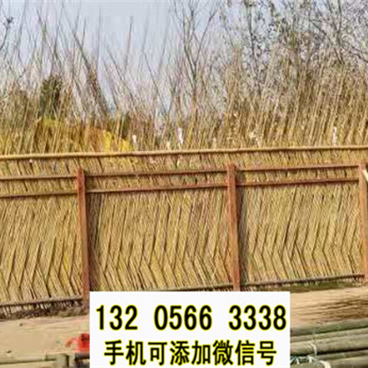 广西来宾竹竿菜园爬藤碳化栅栏竹篱笆竹子护栏