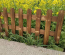 山东垦利装饰菜园室外竹子菜园搭架爬藤竹篱笆竹子护栏