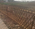 齐齐哈尔篱笆网栅栏花园篱笆竹篱笆竹子护栏