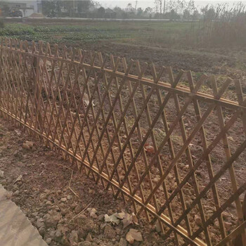 昭通菜园竹拉网碳化木桩竹篱笆竹子护栏