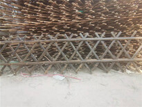 陕西宝鸡篱笆栅栏批发木栅栏竹篱笆竹子护栏图片1