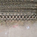 安徽宣州区菜园护栏锌钢草坪栅栏竹篱笆竹子护栏图片5
