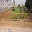 福州绿化栏杆户外实木篱笆竹篱笆竹子护栏