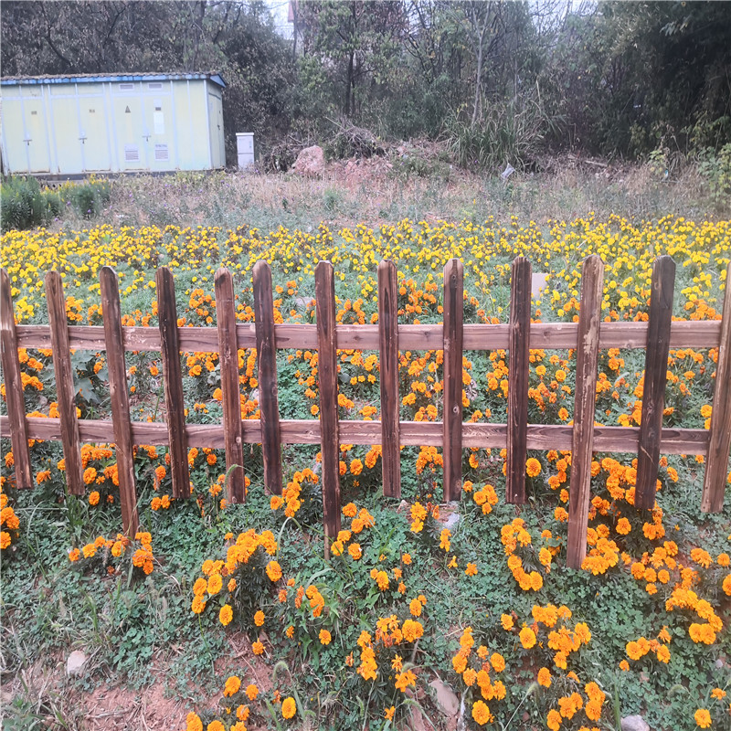 山东蓬莱菜园栅栏花园围栏护栏竹篱笆竹子护栏