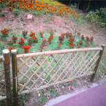白银美丽乡村护栏碳化木围栏竹篱笆竹子护栏图片4