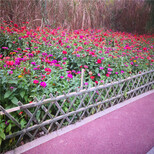 安徽黟县菜园围栏庭院围栏竹篱笆竹子护栏图片0
