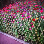 江苏苏州木质围栏花池栅栏竹篱笆竹子护栏图片3