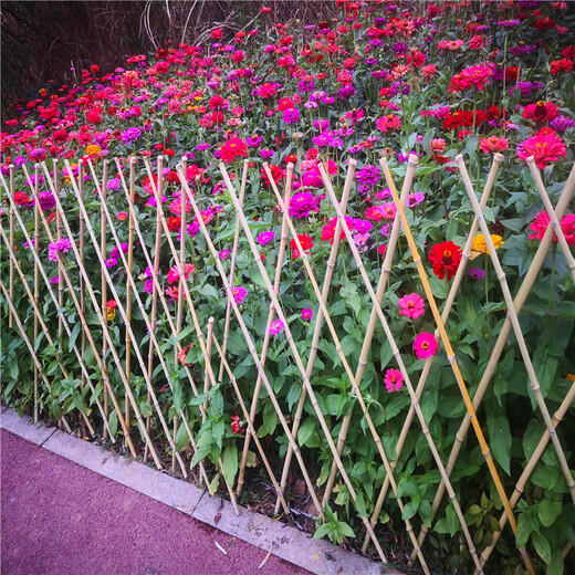 安徽五河农村竹子护栏实木碳化庭院木栅栏竹篱笆竹子护栏
