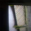 浙江奉化防腐竹围栏碳化实木护栏竹篱笆竹子护栏图片