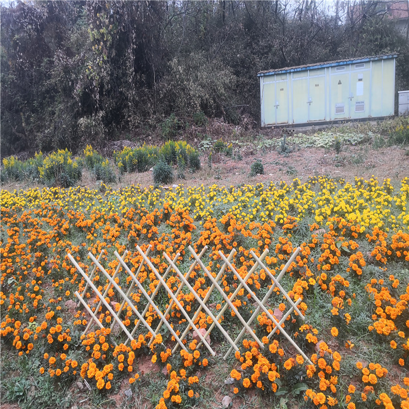 郑州花园竹栅栏木栅栏围栏花园竹篱笆竹子护栏