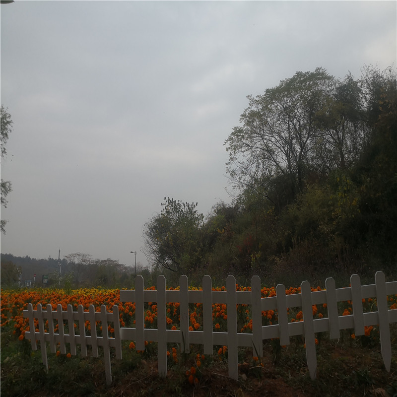 闵行新农村围栏锌钢草坪栅栏竹篱笆竹子护栏