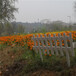 湘西花坛菜园围栏碳化防腐木篱笆竹篱笆竹子护栏